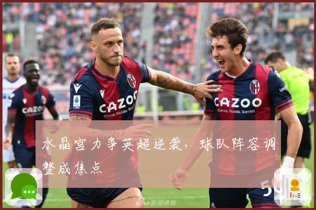 水晶宫力争英超逆袭，球队阵容调整成焦点