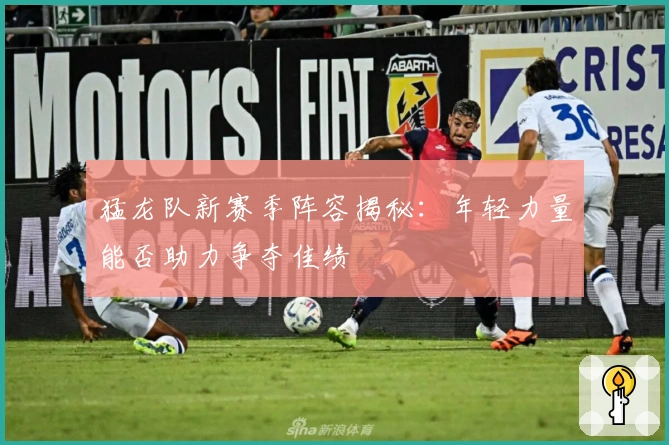 猛龙队新赛季阵容揭秘：年轻力量能否助力争夺佳绩