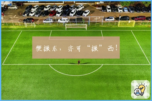 樊振东，亦可“振”西！